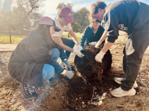 UMW Landscape and Grounds department paired up with student volunteers through COAR to plant trees on campus.